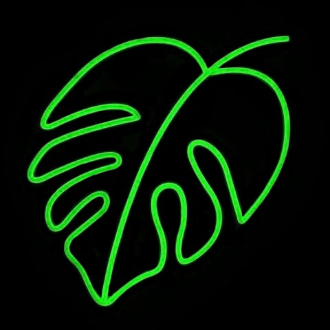 Monstera